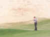Mesquite007-1_edited.jpg (113045 bytes)