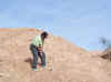 Mesquite008-1_edited.jpg (359075 bytes)