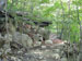 ./photos/vinton/thumbnails/West-Point-099.jpg