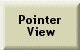 To Pointer View