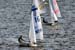 ./athletics/sailing/regatta4.16.05-album/thumbnails/ny-martime-regatta-4-(army-.jpg