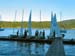 ./athletics/sailing/sailingteam09.04-album/thumbnails/anchors-aweigh.jpg