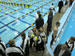 ./athletics/swim_dive/patriots06/thumbnails/Patriot-Swim-003.jpg