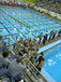 ./athletics/swim_dive/patriots06/thumbnails/Patriot-Swim-012.jpg