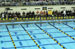 ./athletics/swim_dive/patriots06/thumbnails/Patriot-Swim-014.jpg