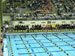 ./athletics/swim_dive/patriots06/thumbnails/Patriot-Swim-015.jpg