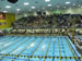 ./athletics/swim_dive/patriots06/thumbnails/Patriot-Swim-032.jpg