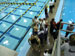 ./athletics/swim_dive/patriots06/thumbnails/Patriot-Swim-034.jpg