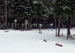 ./athletics/nordic_ski/lakeplacid08/thumbnails/100_0578.jpg