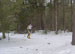 ./athletics/nordic_ski/lakeplacid09/thumbnails/100_1542.jpg