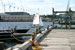 ./athletics/sailing/sailing_annapolis_clinic/thumbnails/IMG_0004_2.jpg