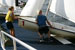./athletics/sailing/sailing_annapolis_clinic/thumbnails/IMG_0012_10.jpg