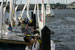 ./athletics/sailing/sailing_annapolis_clinic/thumbnails/IMG_0015_13.jpg