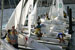 ./athletics/sailing/sailing_annapolis_clinic/thumbnails/IMG_0016_14.jpg
