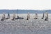 ./athletics/sailing/springbreak06/thumbnails/IMG_0340.jpg