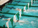 ./athletics/swimming/gmu07/thumbnails/DSCF0300.jpg