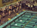 ./athletics/swimming/navy05/thumbnails/P9050045.jpg
