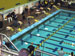 ./athletics/swimming/navy05/thumbnails/P9050047.jpg