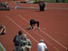 ./athletics/track/patriotsoutdoor2009/thumbnails/_A020207.jpg