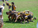 ./athletics/war/rugby_nationals/thumbnails/DSCN0125.jpg