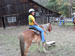 ./cadetlife_pl/plebe_cl/horses/thumbnails/White-Sulfur-Springs-057.jpg