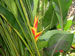 ./cadetlife_pl/plebe_cl/springbreak_sanjuan/thumbnails/32-El-Yunque-Rainforest.jpg