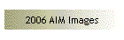 2006 AIM