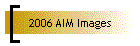 2006 AIM