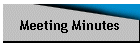 Meeting Minutes