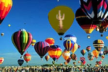 Saguaro Balloon - Only Kidding