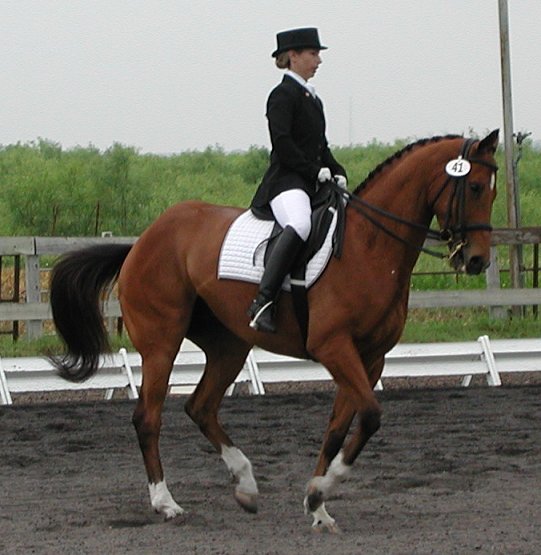 4th level - canter pirouette
