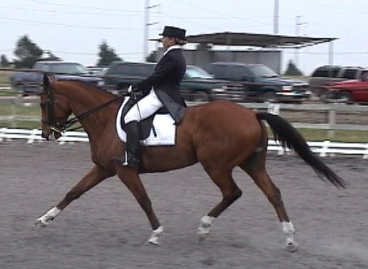 Prix St Georges Test - Extended trot