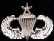 Senior Parachutist's Badge