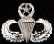 Master Parachutist Badge