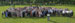./photos/vietnammem/thumbnails/23-small.jpg