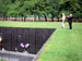 ./photos/vietnammem/thumbnails/IMGP2998.jpg