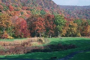 Golf Foliage1.jpg (41225 bytes)