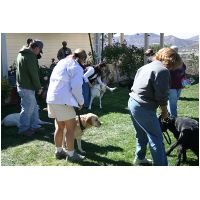 yardplay4 012.jpg