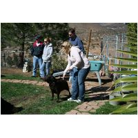 yardplay4 014.jpg