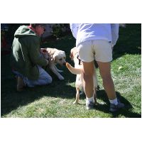 yardplay4 015.jpg