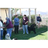 yardplay4 019.jpg