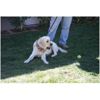 yardplay4 020.jpg