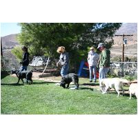 yardplay4 022.jpg