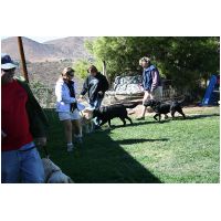 yardplay4 025.jpg
