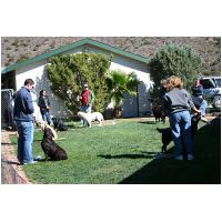 yardplay4 026.jpg