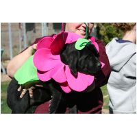 yardplay4 035.jpg