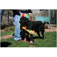 yardplay4 045.jpg