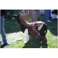 yardplay4 055.jpg