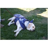 yardplay4 056.jpg