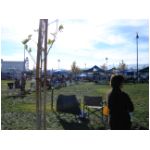 Grounds3.jpg